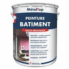 Peinture Bâtiment