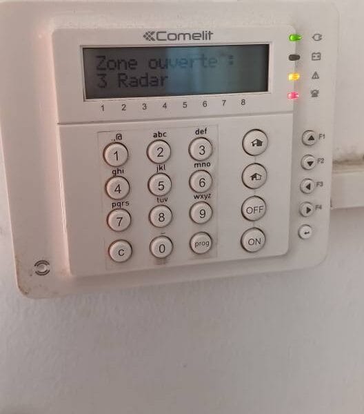 Systèmes de sécurité électronique