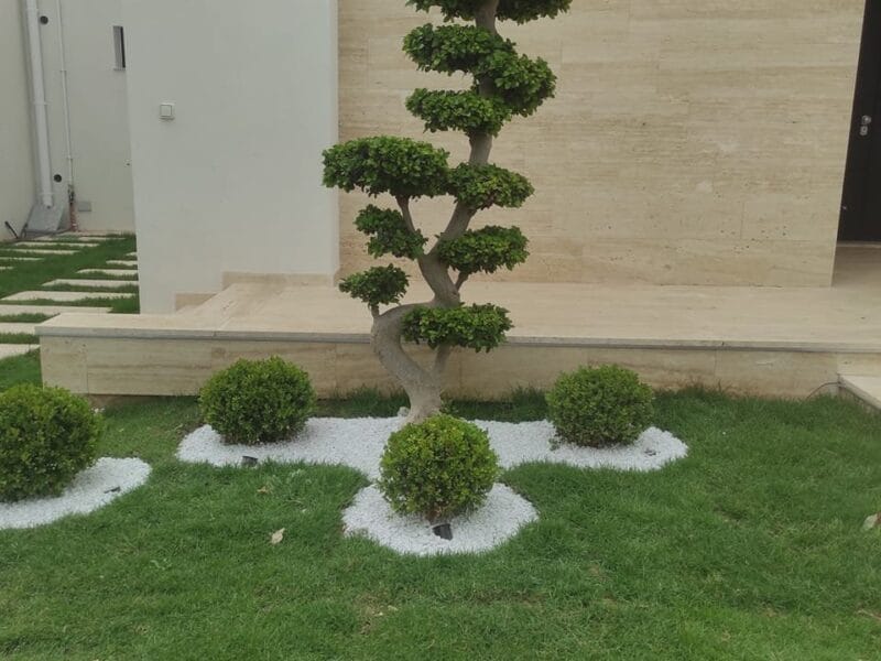 Jardinier paysagiste